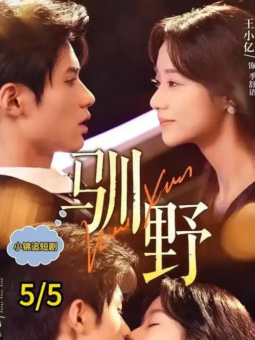 南风知我意全36集完结